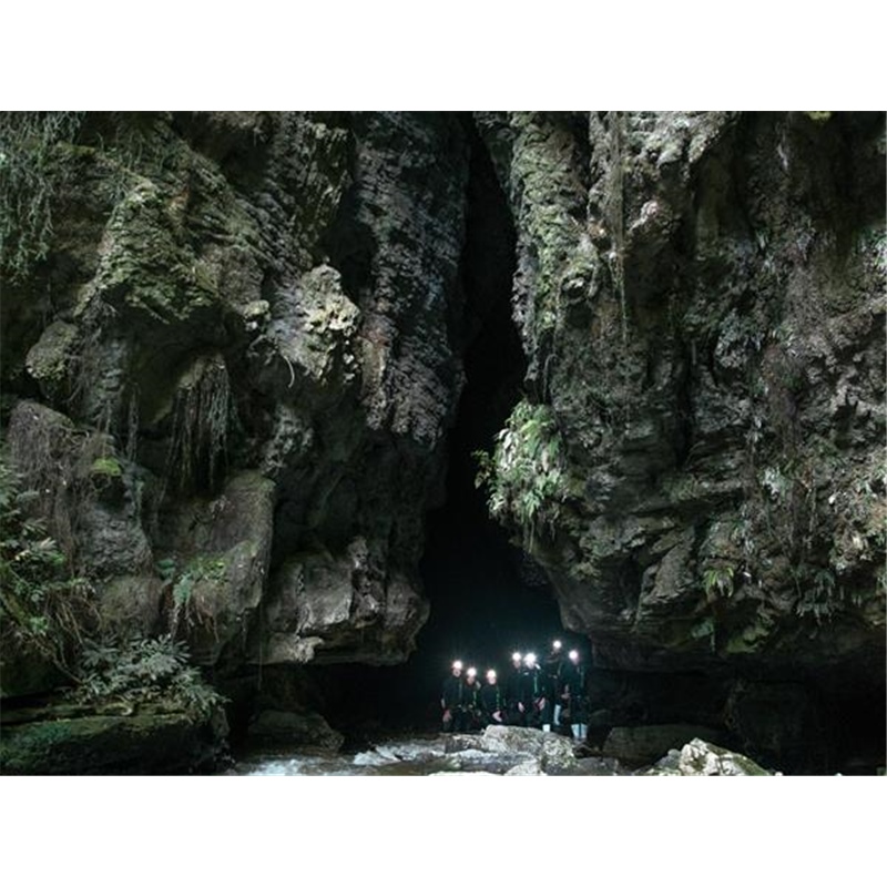 Lost World Epic Tour - 7hrs - Waitomo Adventures Double Pass