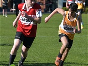 House Football