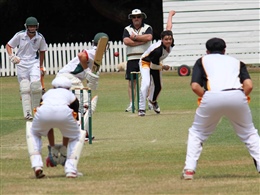 Cricket at St Paul’s Collegiate School