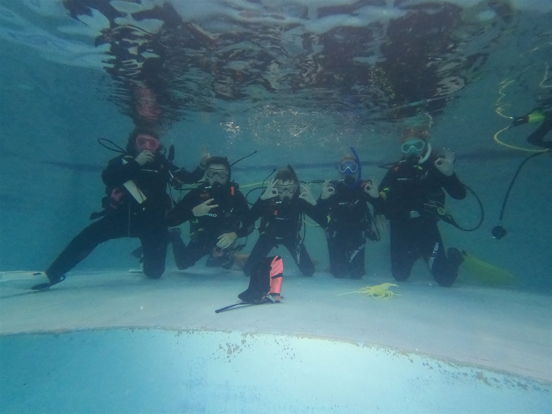 Scuba Diving Club St Paul’s Collegiate School