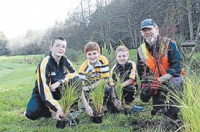 Pupils plant in gully