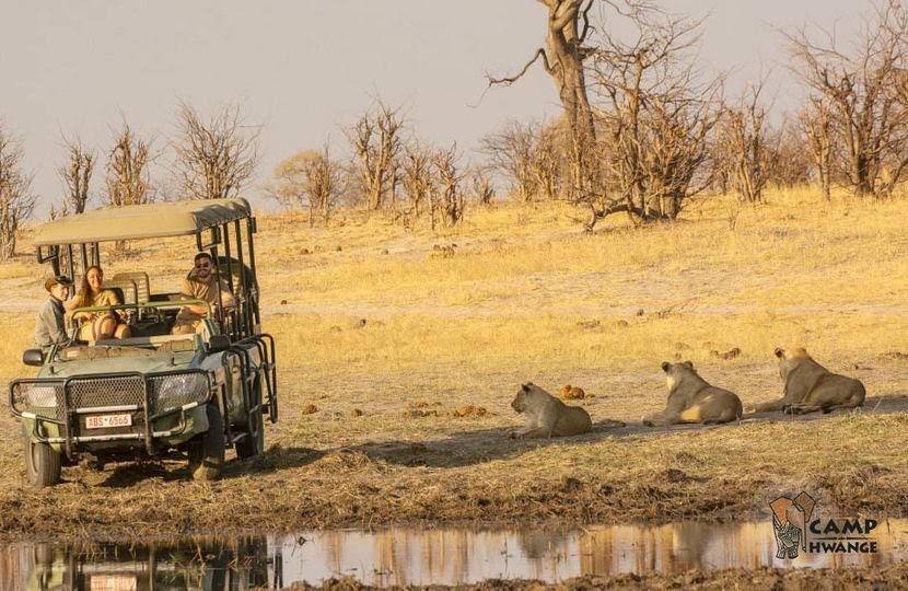 Tamer role for former safari guide