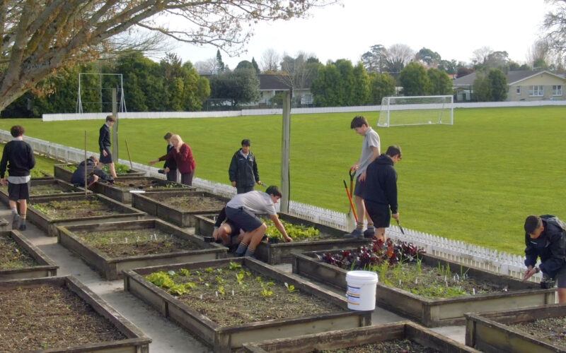 Growing new farming talent in NZ schools