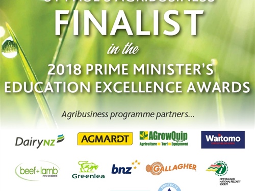 Agribusiness programme recognised for leading change