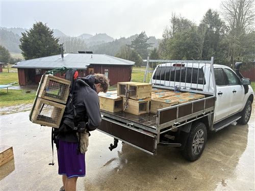 Liam Hodgson leads environmental project at Tihoi Venture School