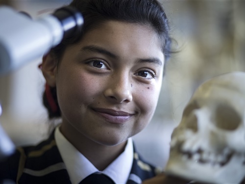 Students rank top in NZ with impressive Scholarship results