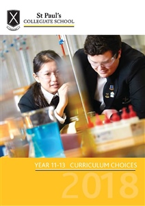 Curriculum Choices 2018