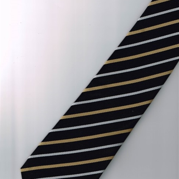 School Tie