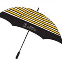 Umbrella St Paul's Bumblebee